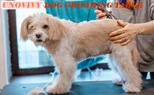 Load image into Gallery viewer, Heavy Duty Hydraulic Pet Grooming Table