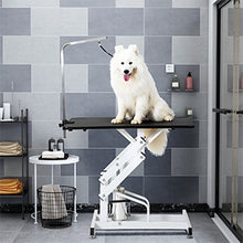 Load image into Gallery viewer, Heavy Duty Hydraulic Pet Grooming Table
